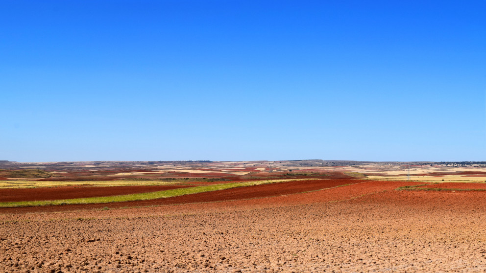 Agriculture accounts for 80 percent of the water consumed in Spain. Green hydrogen production will likely compete for an already scacre environmental resource.